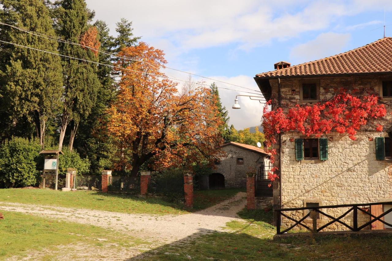 Agriturismo Villaggio Eden Pieve Santo Stefano Eksteriør bilde