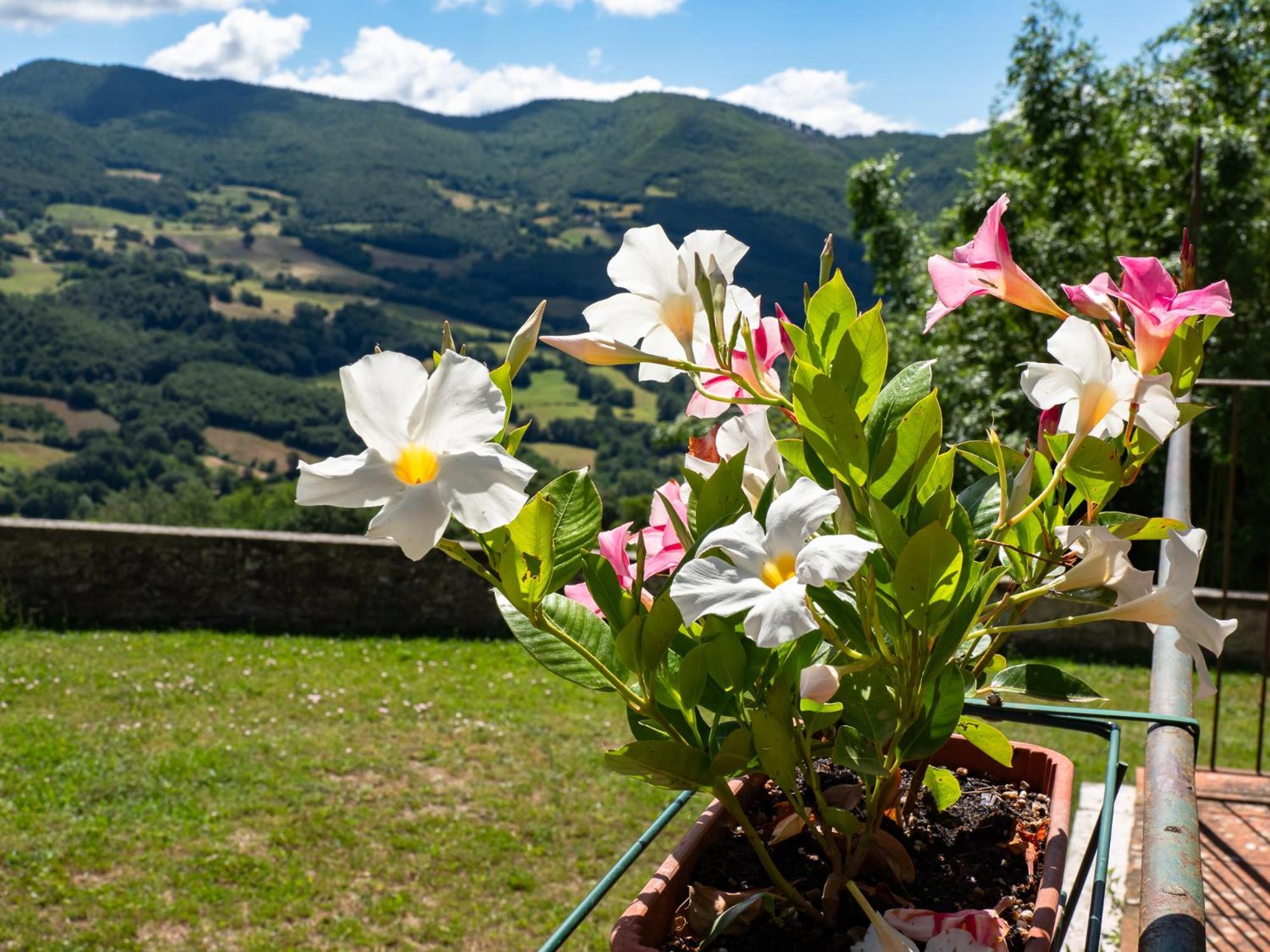 Agriturismo Villaggio Eden Pieve Santo Stefano Eksteriør bilde